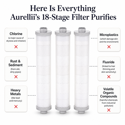 The Shower Purifier